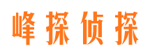 沙雅侦探